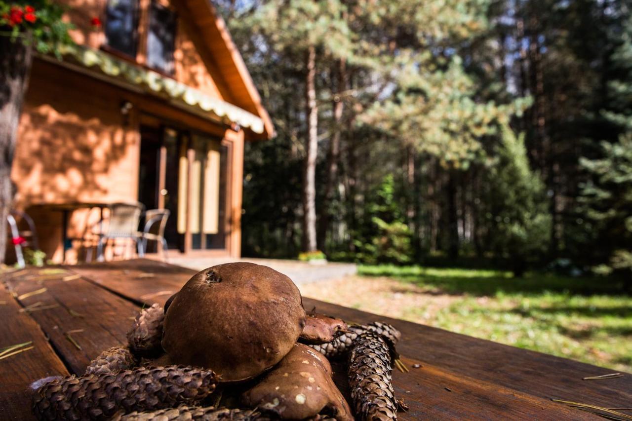Pod Klonem Ferienhaus Zary (Lublin)